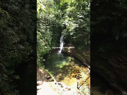 Vive las mejores experiencias aquí! 🏞️✨ #sucumbios #amazonía #cascadas