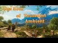 The Witcher 3 | 1 HOUR of TOUSSAINT AMBIENT MUSIC |