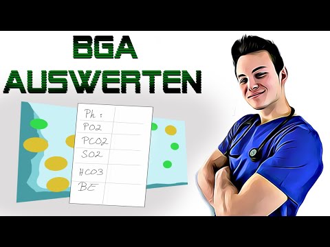 BGA Auswerten EKRLÄRT! Prüfungshilfe für Fachkurs und ATA´s!