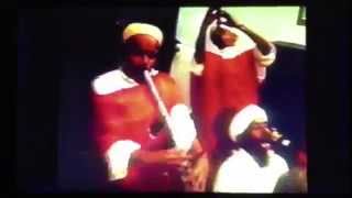 THE JEFFREY LEE PIERCE SESSIONS PROJECT - A SHAME AND PAIN | GLITTERHOUSE RECORDS