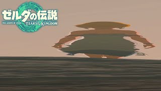 wide zelda【＃２９】【ゼルダの伝説 ティアーズ オブ ザ キングダム】