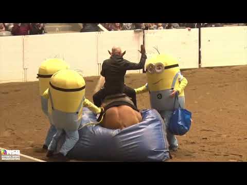 2019 Quarter Horse Congress Freestyle Reining Dan James on Don Magnum Multicam