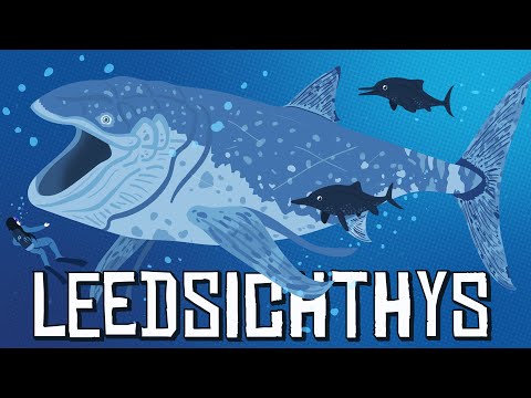The Biggest Bony Fish That Ever Lived: Leedsichthys, Explained!