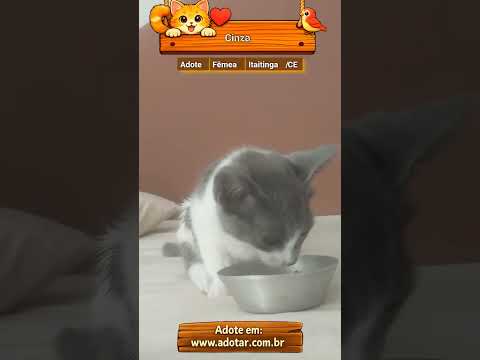 Vídeo de Cinza