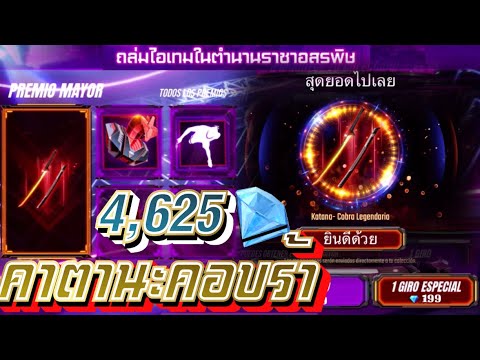 ฟีฟาย