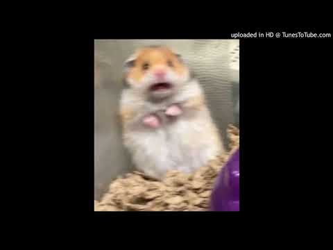 [FREE] $OHO BANI x Lugatti & 9ine x Pashanim Type Beat