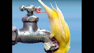 Astralasia - Everlasting Thirst