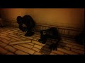 Bendy CH3 The Searchers