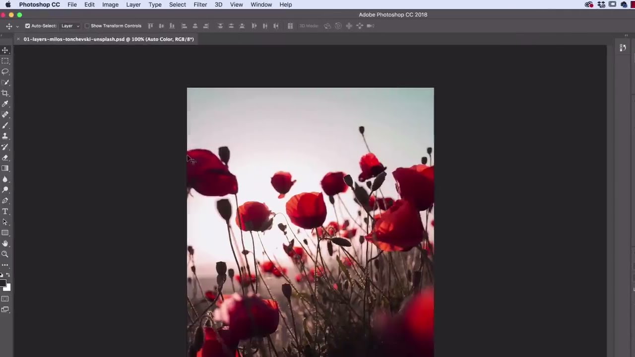 adobe photoshop tutorials for beginners by envato tuts