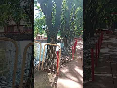 Assaí Paraná passeio