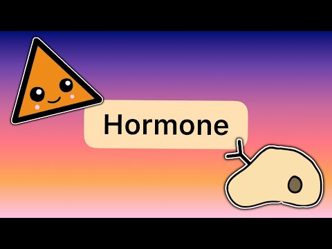 What are hormones? - The endocrine system