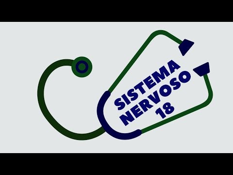 SISTEMA NERVOSO 18 -  PARES CRANIANO 2/5