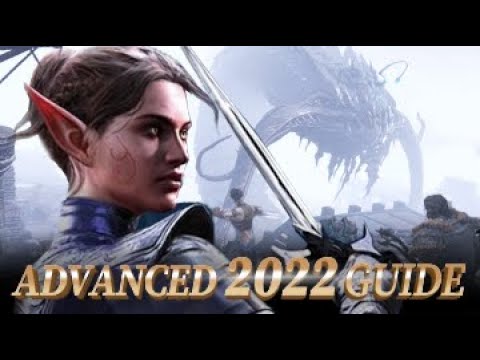 2022 Advanced guide for Divinity Original Sin 2