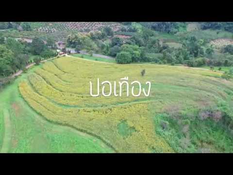 ศูนย์วิจัยข้าวสะเมิง