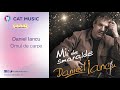Daniel Iancu Omul De Carpe