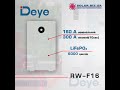 Video review Deye RW-F16