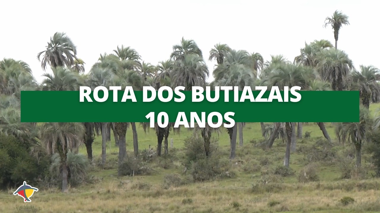 10 Anos do Projeto Rota dos Butiazais | Terra Sul