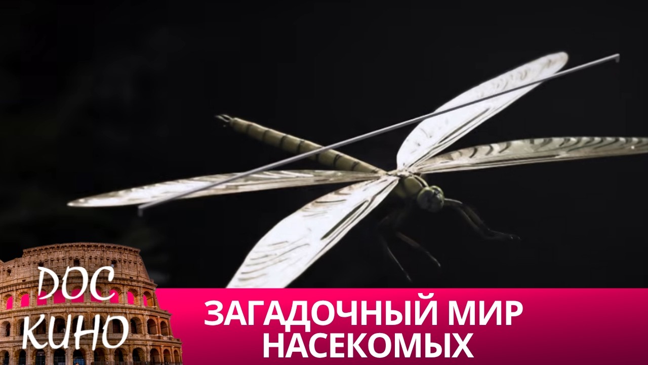 🎭ЗАГАДОЧНЫЙ МИР НАСЕКОМЫХ 🌎 ДОКУМЕНТАЛЬНОЕ КИНО 🎆 2021