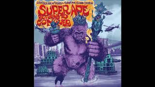Lee "Scratch" Perry & Subatomic Sound System - Dub Along feat. Screechy Dan