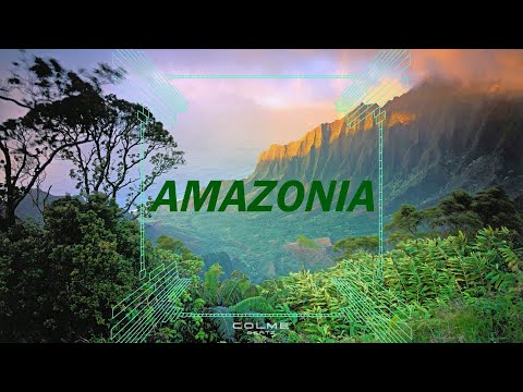 (FREE) Afrobeat x Dancehall Type Beat Instrumental "Amazonia" | Wizkid x Drake