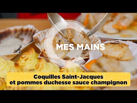 Saint-Jacques aux champignons et pommes duchesse