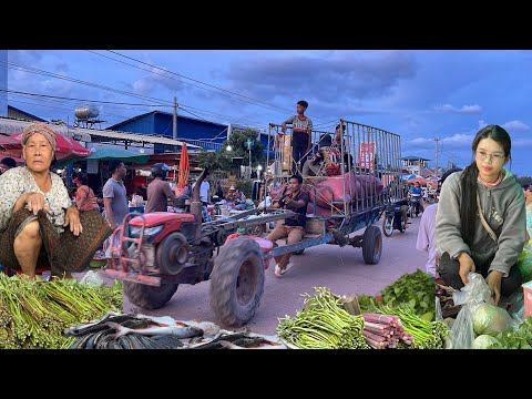 Popular Cambodian Street Food In Cambodia / Market Scenes And More....