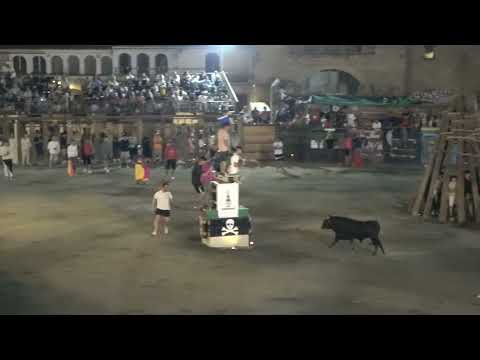Toro de las peñas en directo en Garrovillas de Alconetar