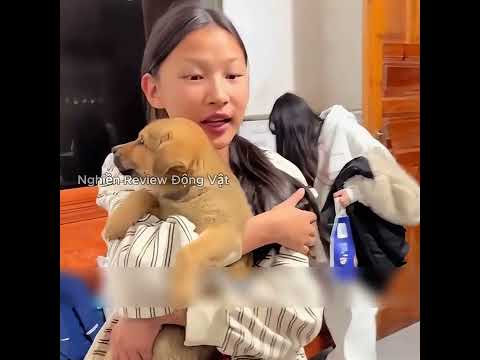 Bạn có muốn nuôi một chú chó trung thành như thế này không.