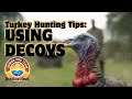 Spring Turkey Hunting Tips Decoy Setup