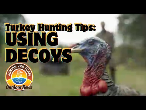 Spring Turkey Hunting Tips: Decoy Setup