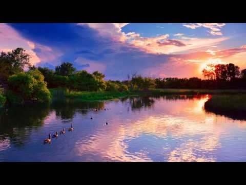 Dreamy feat. Isa Bell - Because You Are (Paul Rigel Dub) [Alter Ego]