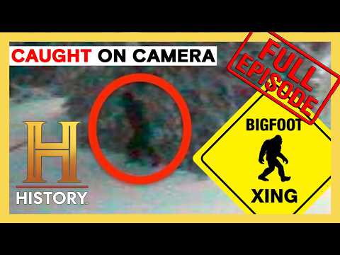 13 Bigfoot Sightings You Have to See to Believe | The Proof is Out There | Compilation | History