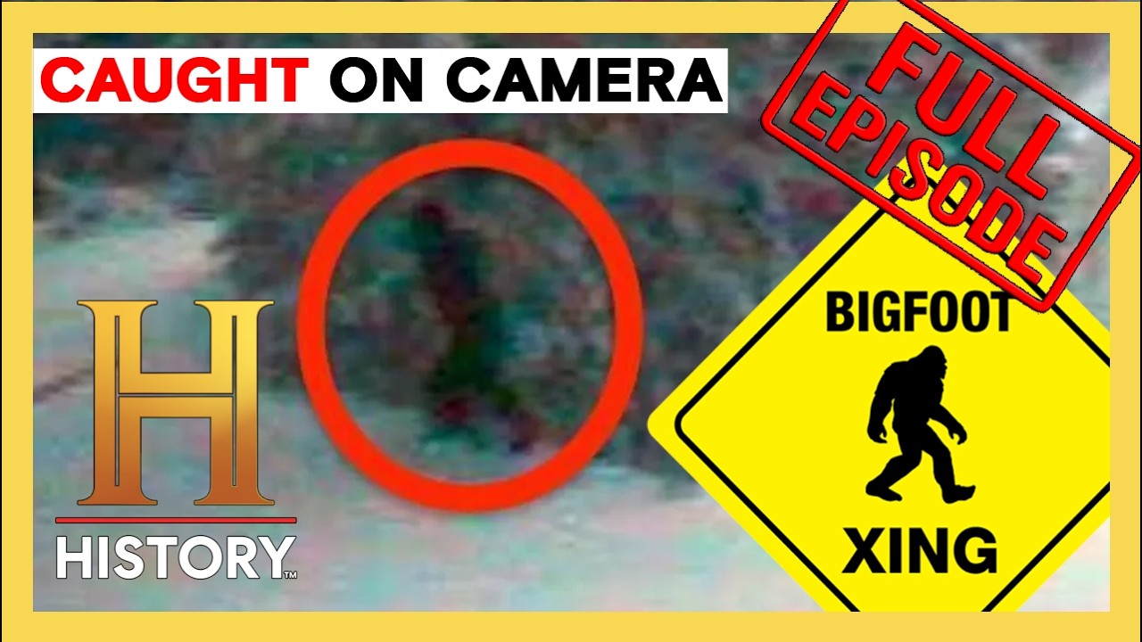 Top 13 Bigfoot Sightings Caught On Camera | The Proof Is Out There