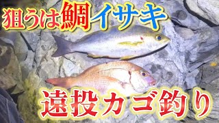 【遠投カゴ釣り】狙うは鯛・イサキ☆っていうかお前は誰だ！？【高知県西南部】