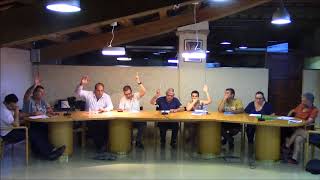 Ple ordinari del 21 de juny de 2018