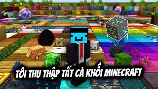Tôi đã thu thập mọi khối trong Minecraft!