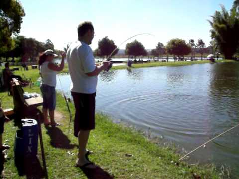 Pietro -Como se perde um dourado !!!!!!!!!!!!