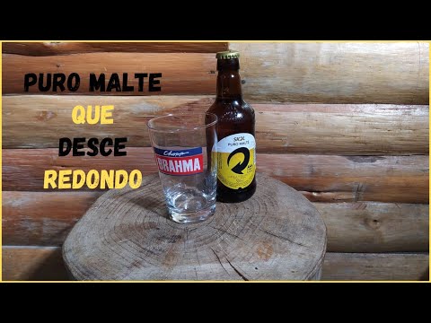 Cerveja Skol Puro Malte é Boa? DeGusta #11