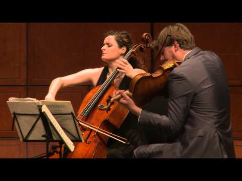 Beethoven String Quartet Op. 18 No 2 in G. Major, II: Adagio cantabile - Ariel Quartet (excerpt)