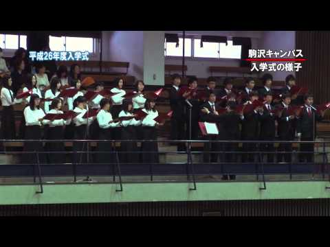 英米文学科 2014年度_01 駒澤大学 入学式