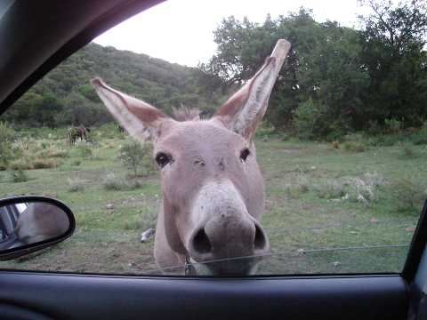 Cordoba 2007 (San Lorenzo) Parte 2