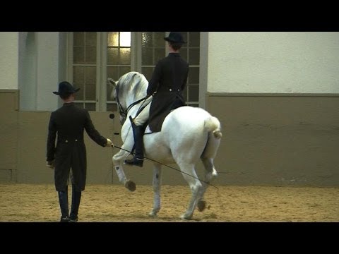 Vienna's historic Spanish riders trot into the 21st century