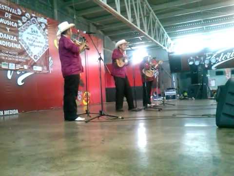 TRIO LOS CAIMANES DE TAMUIN  PRESENTES EN LA FENAPO 2015