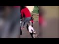 Animaux Amusants Drôles Mort De Rire