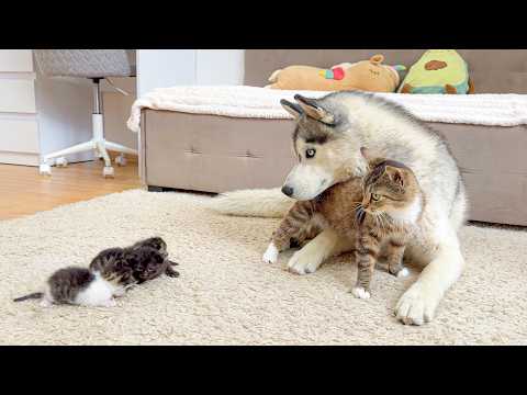 YouTube 썸네일