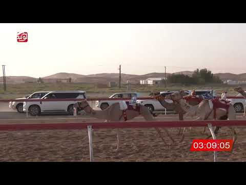 6 alsaad