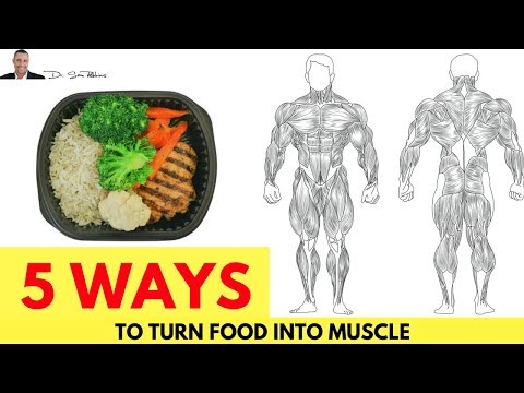 💪 5 Ways To Turn Food Into Muscle & NOT Fat - by Dr Sam Robbins