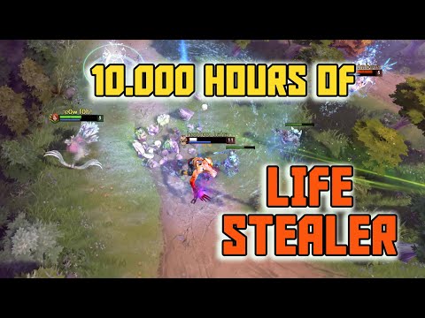 What 10000 hours of LifeStealer look like