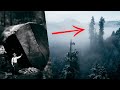 Why The World S Tallest Tree Is Kept Hidden