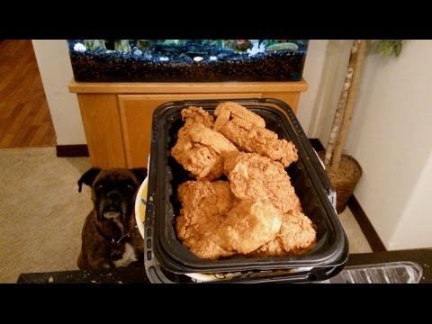 download lagu mp3 mp4 Walmart Fried Chicken Trays, download lagu Walmart Fried Chicken Trays gratis, unduh video klip Walmart Fried Chicken Trays